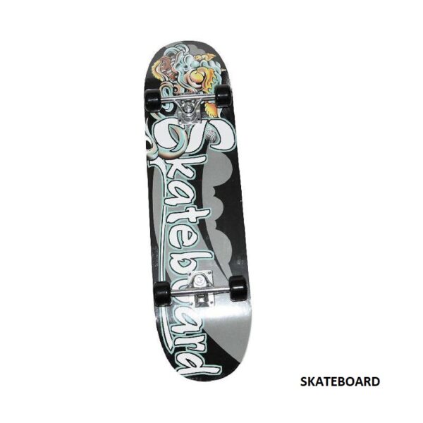 ΑΘΛΟΠΑΙΔΙΑ SKATEBOARD Complete Skateboards #1